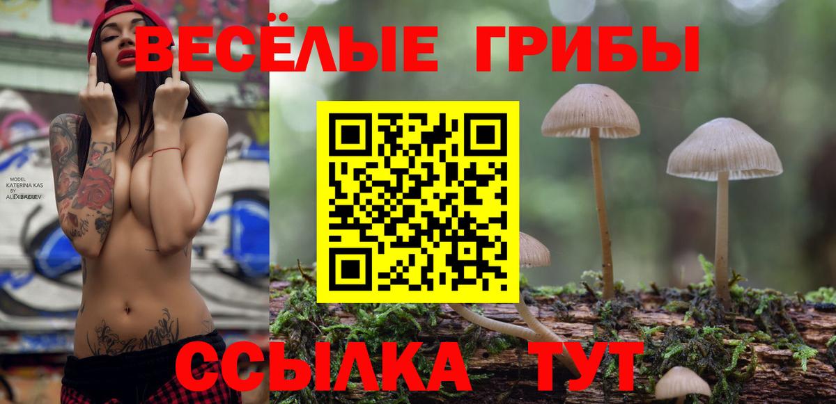 Галлюциногенные грибы GOLDEN TEACHER  Вход с VPN  Железноводск 